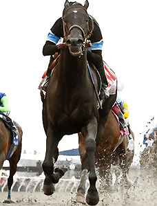 After Shared Belief's death, owner Jim Rome to stay in horse racing