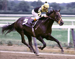 Terry Conway: Undefeated Seattle Slew gallops to Triple Crown