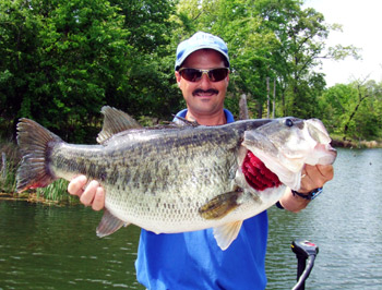 When Is the Best Time Go Bass Fishing In Austin, TX? - In The Springtime!