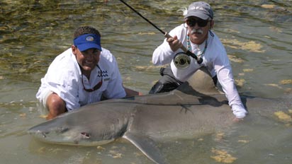 Star Rods IGFA World Records