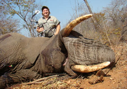 elephant bow hunting