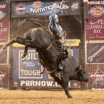 Dall's Rodeo rodeo extremo